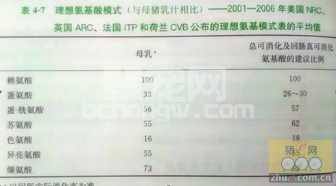 断奶仔猪正确的饲喂方式