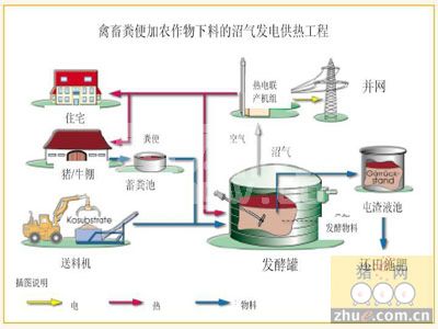 养殖业：废水可以这样处理