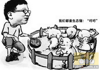 有机母猪养殖八大困扰问题有哪些