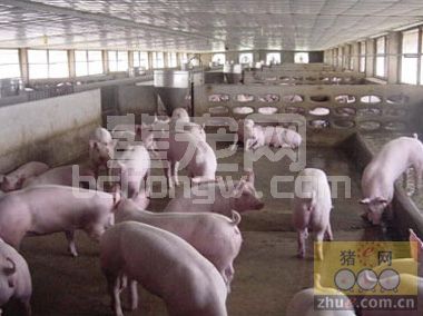 如何提高消毒效果