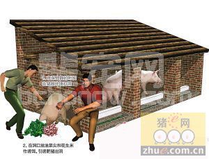防范偷猪贼，见招拆招