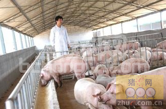 无公害养猪场消毒室存在的问题及对策
