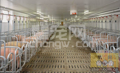 产房管理的19个漏洞，不知道你就落伍了！