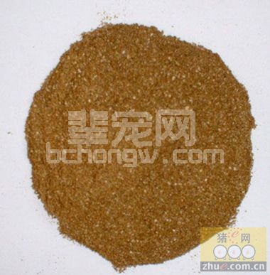 发酵饲料喂猪长膘快