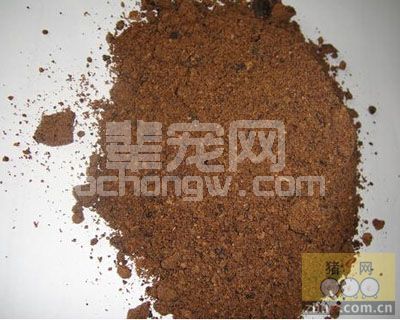 看看国外规模猪场中的饲料防霉技术