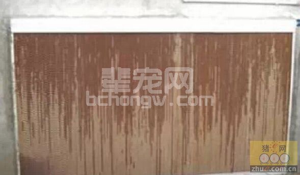 高温高湿环境猪场疫情防控技术