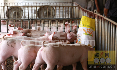国内对饲料进行防霉的技术方法