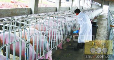 农民养殖户如何科学消毒