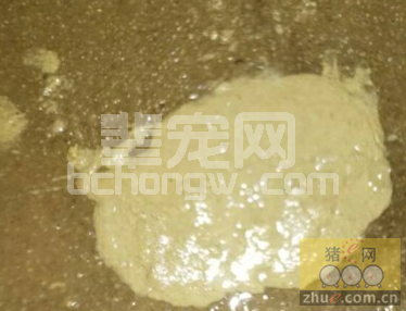 断奶小保育猪腹泻加呕吐 养殖户反映该症状发病频繁