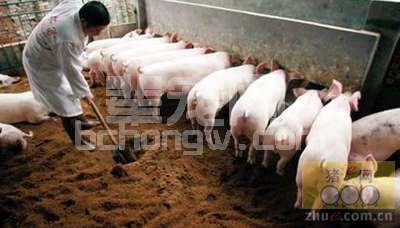 养猪省料的方法