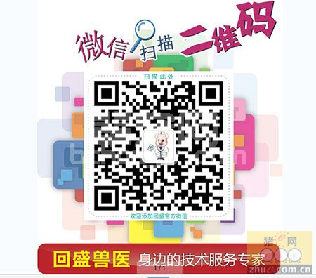 配种舍饲养管理技术操作规程
