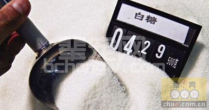 食糖治猪病