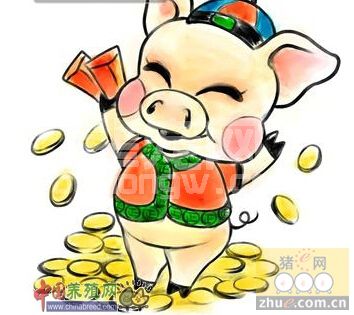 猪与人的关系：君与臣的关系！