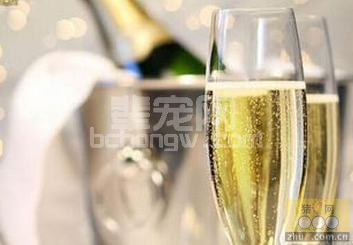 酒在养猪业中的妙用
