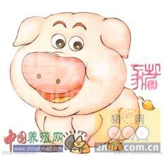 发酵床养猪——俗称懒汉养猪法