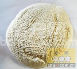 乳猪饲料里那些蛋白可被吸收？