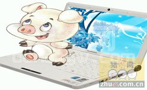 智能养猪有了“云服务”