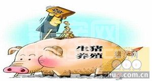引起猪病多发的十大因素