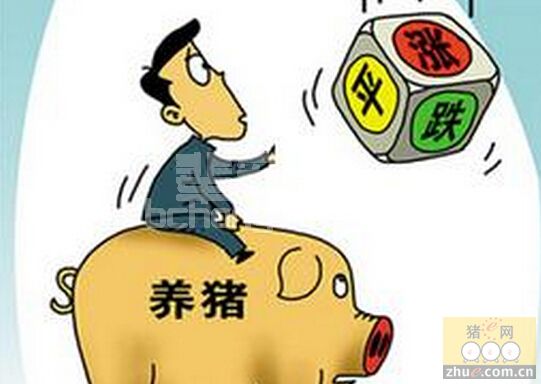 当前猪价将如何走势？