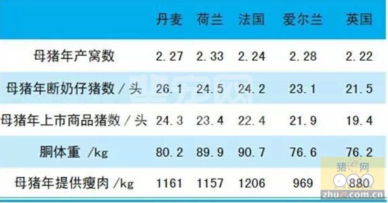 喻传洲：关于外来种猪的适应性选育