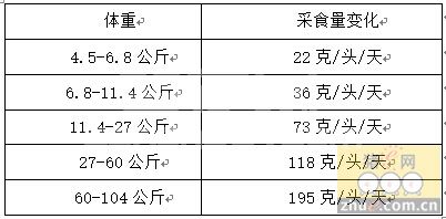 猪场的冬季管理要点提示