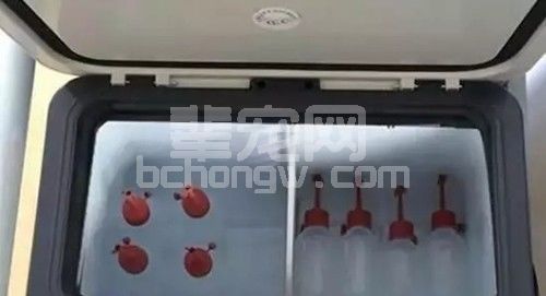 输精前的这一步必须做，否则会影响产仔数