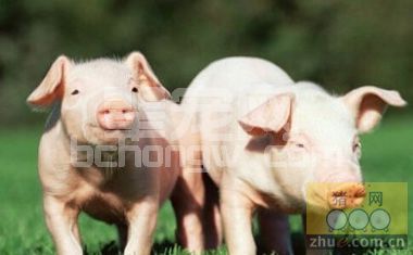 四步着手就能搞定后备乏情、屡配不孕