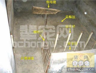 采精室的设计与环境要求