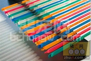 GVP冷冻精液技术