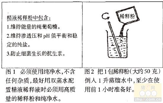 猪人工授精图解连载（四）