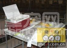 养猪生产中关注人工授精的细节