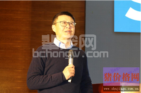 关注：高效防“蓝耳”，需找准“病根”！