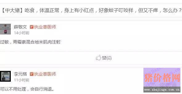 母猪奶水不足和猪身上长痘痘的，这里有妙招
