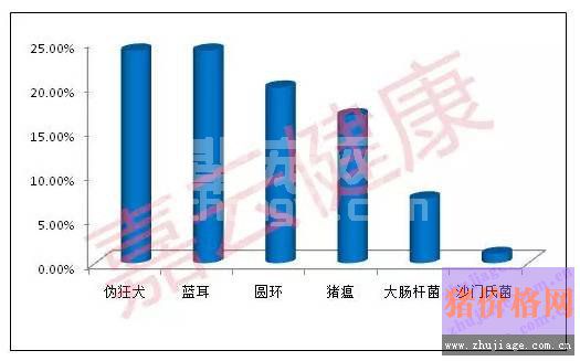 猪伪狂犬滴鼻重要吗，如何操作更科学？