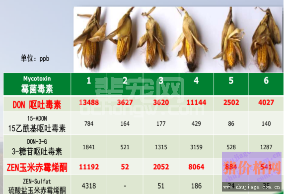 霉菌毒素防控形势这么严峻，你知道吗？