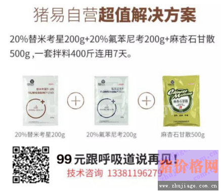 用了药死了猪，问题背后原因你真的知道？