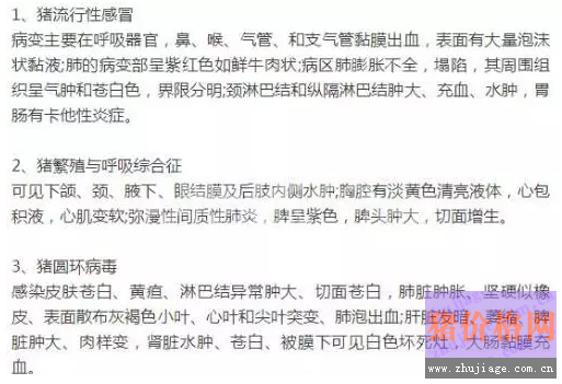 养猪场最全猪呼吸道疾病鉴别诊断分析