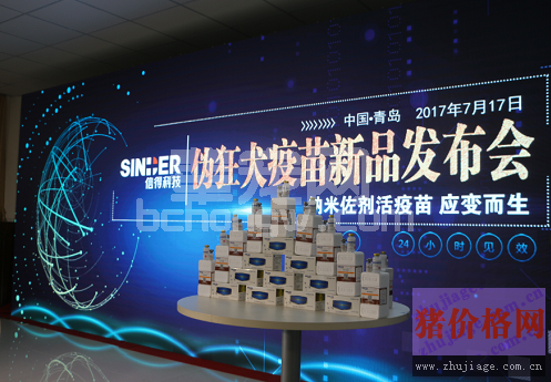 面对40%不明原因的伪狂犬发病，养猪户到底怎么办？