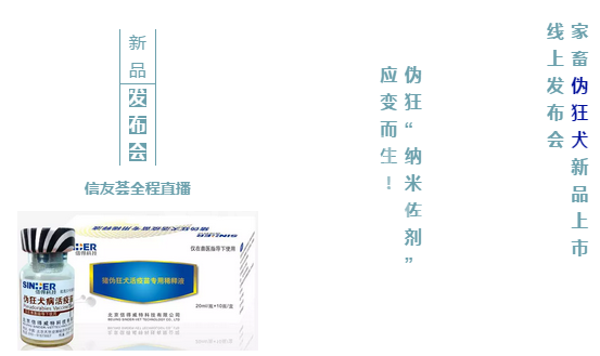 “第三品类”应运而生，或成养猪人防控伪狂利器！