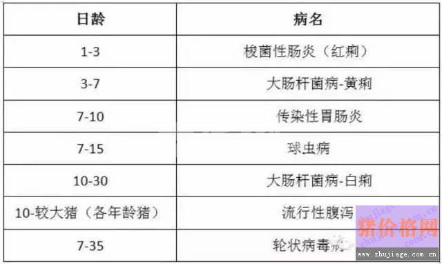 仔猪腹泻多地再掀狂潮，你准备好了吗？