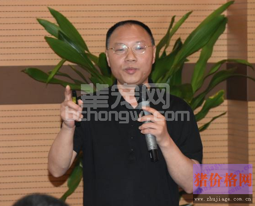 蓝耳、圆环、猪瘟——三大免疫抑制性疾病到底怎么破？！