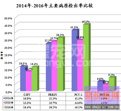 养猪场爆发蓝耳病，免疫圆环还有用吗?