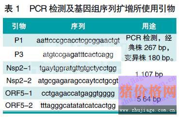 一例猪蓝耳病的实验室诊断及NSP2、ORF5基因序列分析
