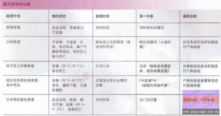 养猪场养猪盲点？解析引起疾病的原因分析