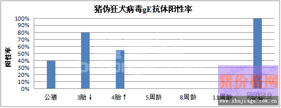 广东某猪场一例爆发型猪伪狂犬病的诊断分析