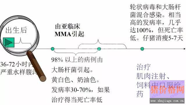 影响哺乳仔猪腹泻的因素分析及防治技术