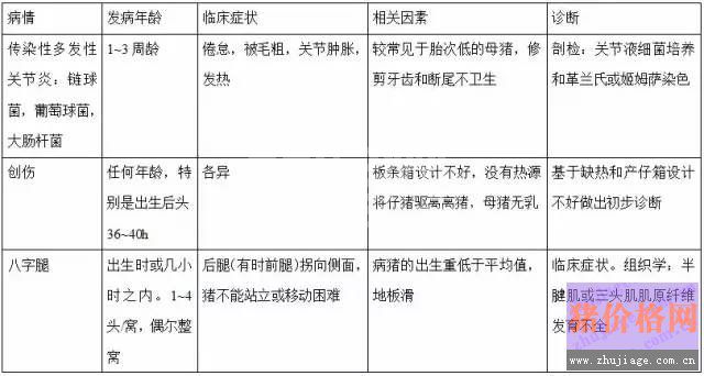 引起猪“跛行”的疾病诊断表，总结的太全了！