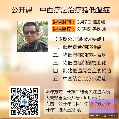 兽医经验：猪蓝耳病的防控方案