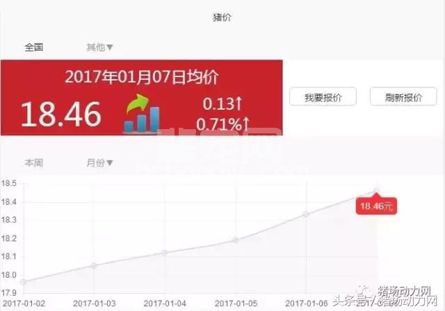 天冷了，猪价行情高了，这些猪病要注意了