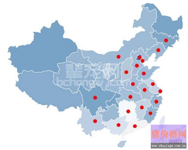 6--8周龄猪只猪瘟抗体阳性率偏低，存在感染野毒的风险！